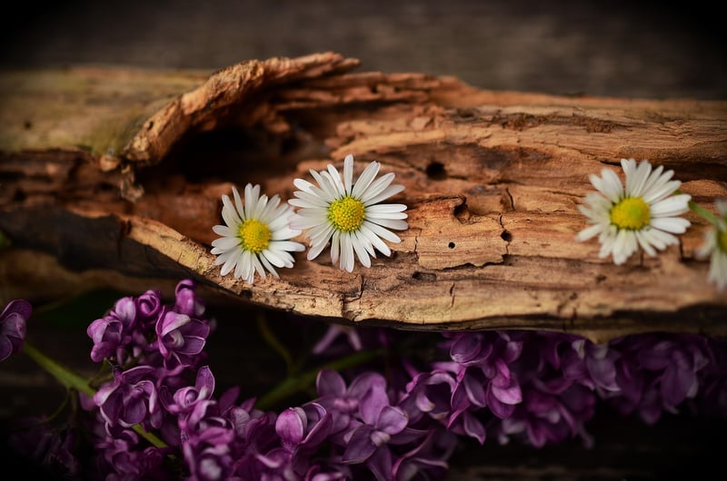Repurposed Wood Projects